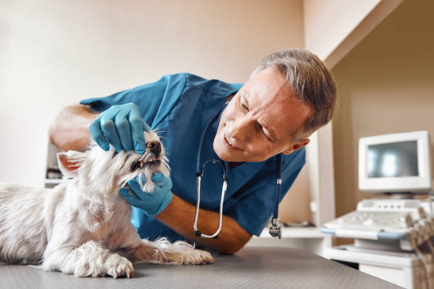 Best Weekend Emergency Dentist in Chesapeake, VA
